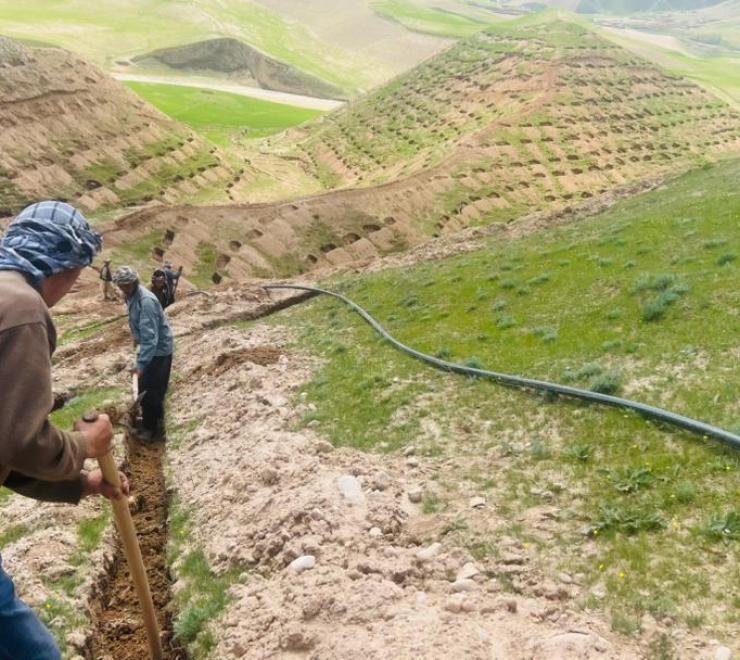 A community-based pistachio and mulberry plantation initiative in Faryab Province is helping restore degraded watershed areas