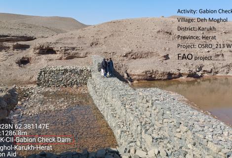 WBK-CLL-Gabion Check Dam, Deh Moghol-karakh-Herat 