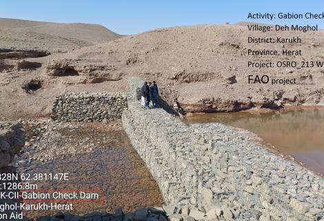 WBK-CLL-Gabion Check Dam, Deh Moghol-karakh-Herat