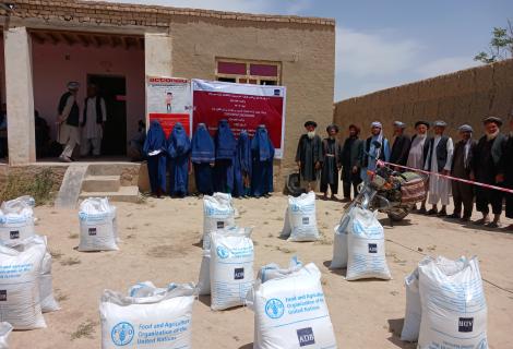   ActionAid, Afghanistan Distributes Crop Seeds to 2,200 Households in Jawzjan Province
