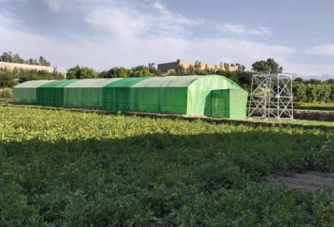 Green house constructed in Nangarhar