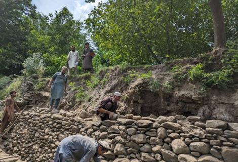 flood affected land rehabilitation