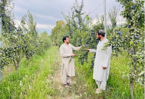 success story of Sardar ghani