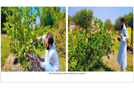 success story of a farmer