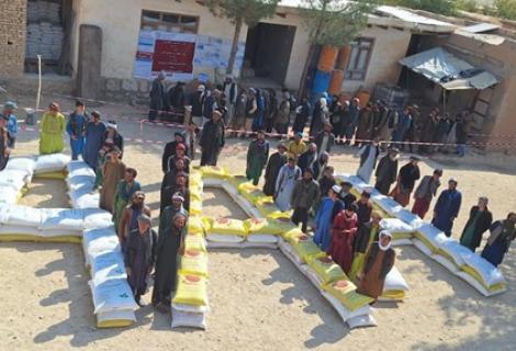 Wheat Seed Distribution in Balkh province