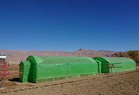 one of the FAO funded projects in Bamiyan