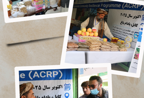 Saed Mohammad attending the exhibition in kabul 