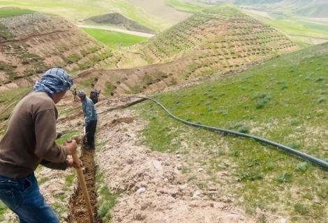 A community-based pistachio and mulberry plantation initiative in Faryab Province is helping restore degraded watershed areas