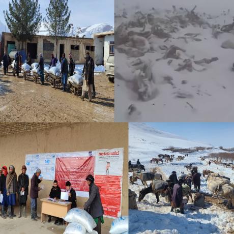 Beneficiaries receiving animal feed. 