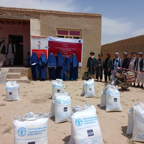 ActionAid, Afghanistan Distributes Crop Seeds to 2,200 Households in Jawzjan Province