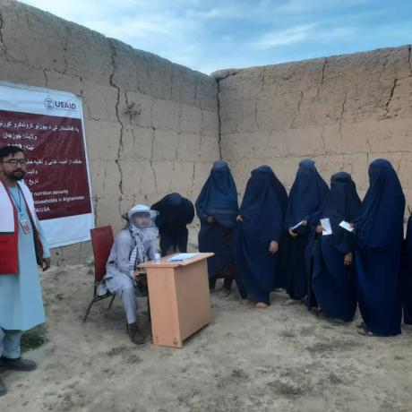 ActionAid, Afghanistan Empowers 200 Households with Honeybees and Beekeeping Equipment in Jawzjan province.