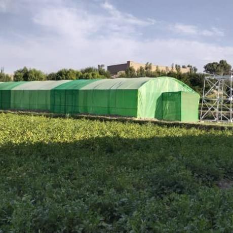 Green house constructed in Nangarhar
