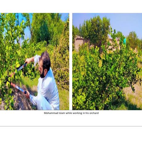 success story of a farmer