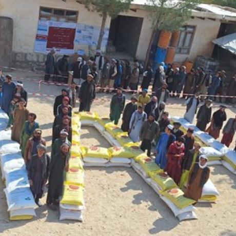 Wheat Seed Distribution in Balkh province