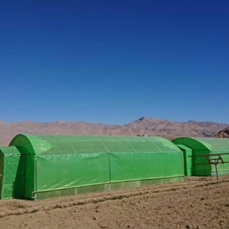 one of the FAO funded projects in Bamiyan