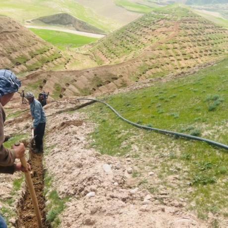 A community-based pistachio and mulberry plantation initiative in Faryab Province is helping restore degraded watershed areas