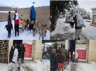 Urgent Support to Earthquake-Affected Areas in Herat Province