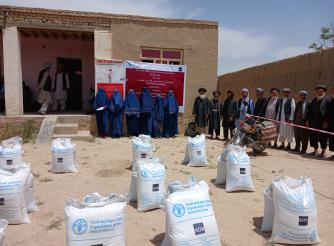   ActionAid, Afghanistan Distributes Crop Seeds to 2,200 Households in Jawzjan Province