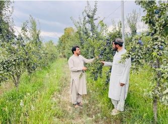 success story of Sardar ghani