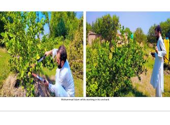 success story of a farmer 