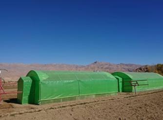 one of the FAO funded projects in Bamiyan