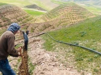 A community-based pistachio and mulberry plantation initiative in Faryab Province is helping restore degraded watershed areas